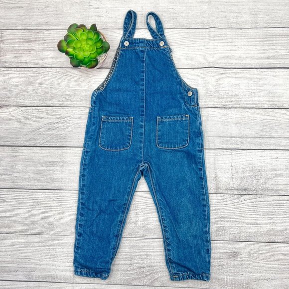 Zara Bottoms Zara Baby Girl Floral Lined Denim Overalls Sleeveless